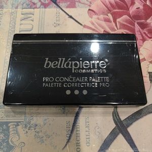 Bellapierre cosmetics pro concealer palette